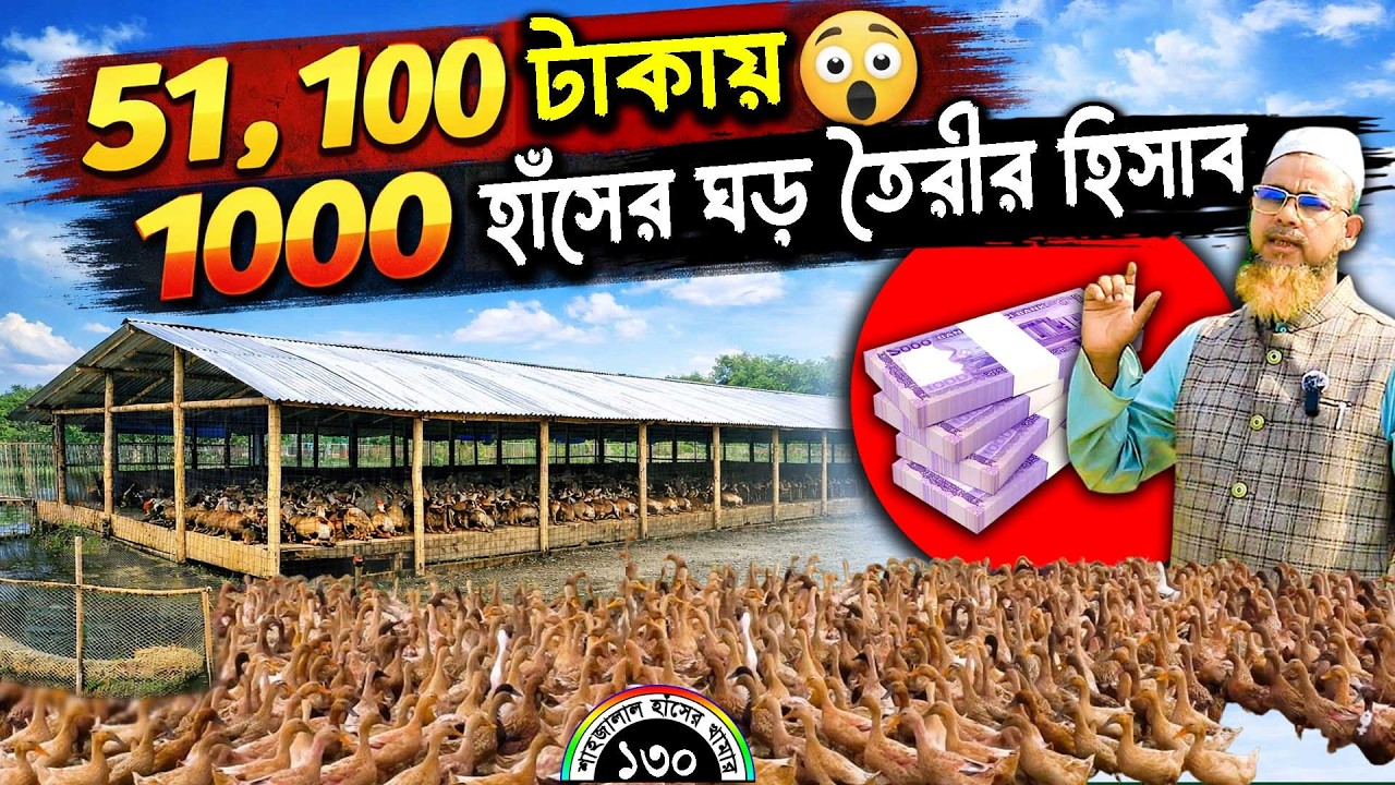 মাত্র ৫১,১০০ টাকায় ১০০০ হাঁসের ঘর 😱 | কম খরচে ঘড় তৈরীর হিসাব | শাহজালাল হাঁসের খামার