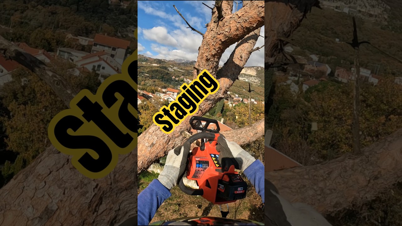 staging #arborist #treecutting #treeremovalservices #milwaukee #treeservice