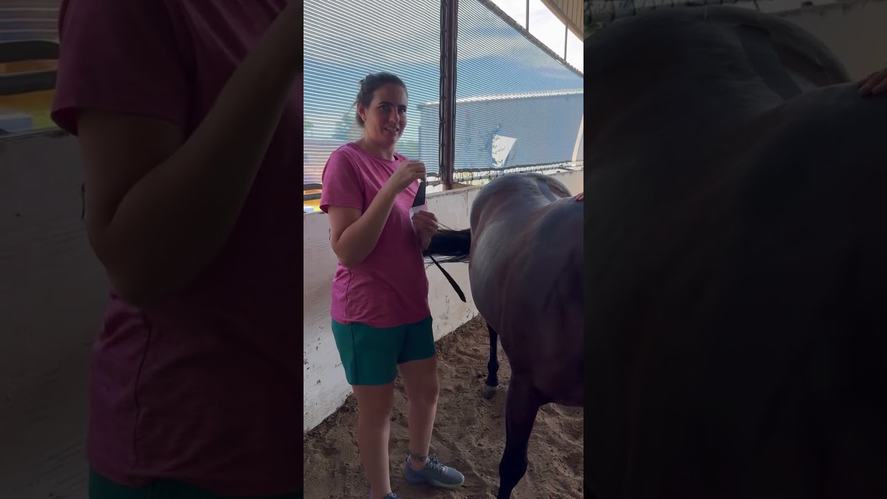 Equine Kinesiology Simple “H” application for a sore back