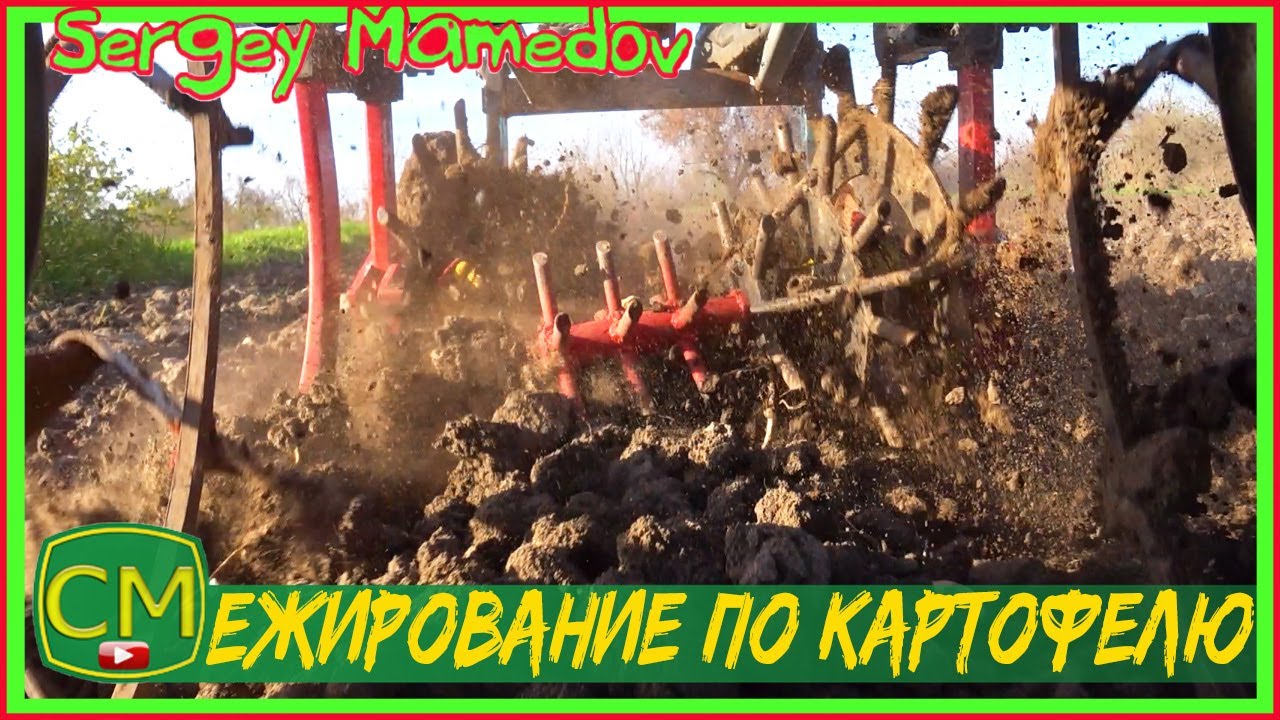 🥔Ежирование картофеля или боронование по картофелю. potato edging or potato harrowing.
