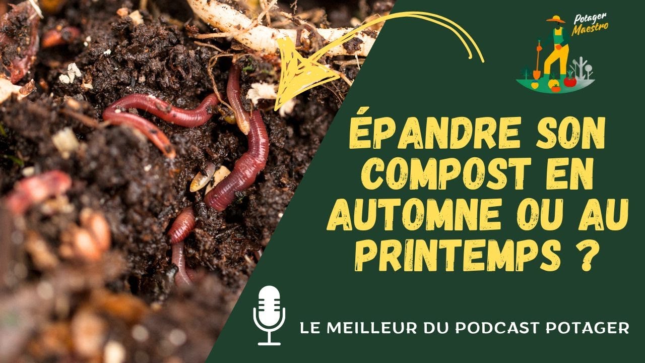 Compost au potager : épandre en automne ou au printemps ?