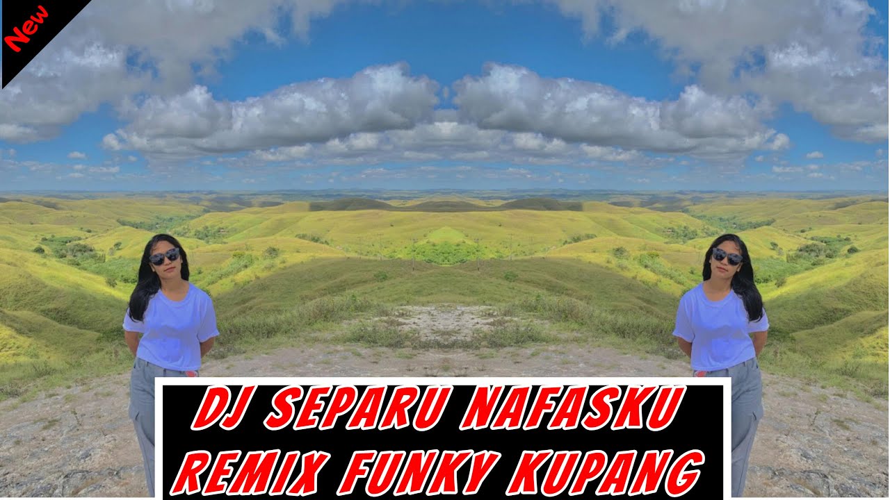 DJ SEPARUH NAFASKU REMIX FUNKY KUPANG 2025 - TN REMIXER 2025