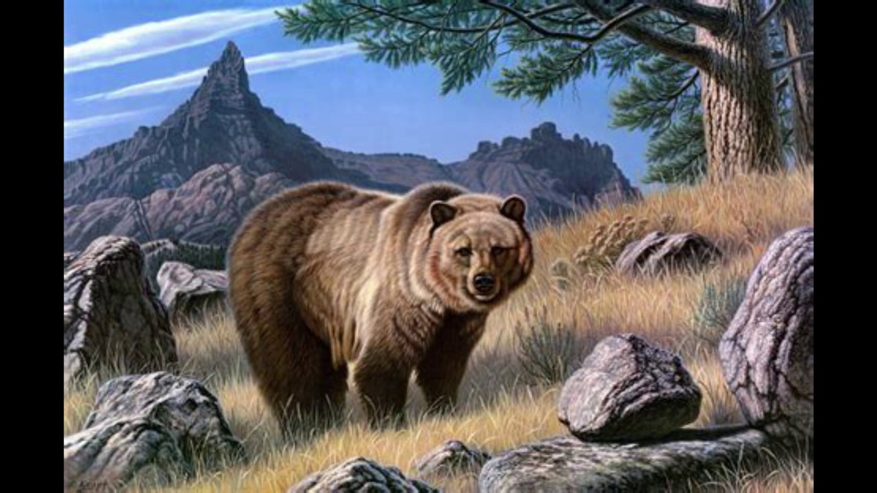Anishinaabe spirit bear song