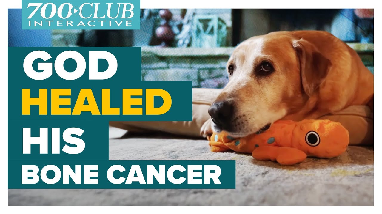 Is Even My Dog WORTHY Enough For God To HEAL? | The 700 Club Interactive