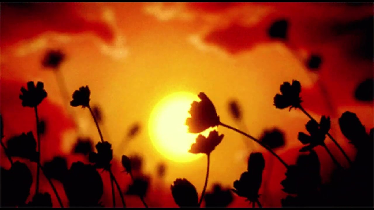 Robert Miles - Children (speed up) ❀