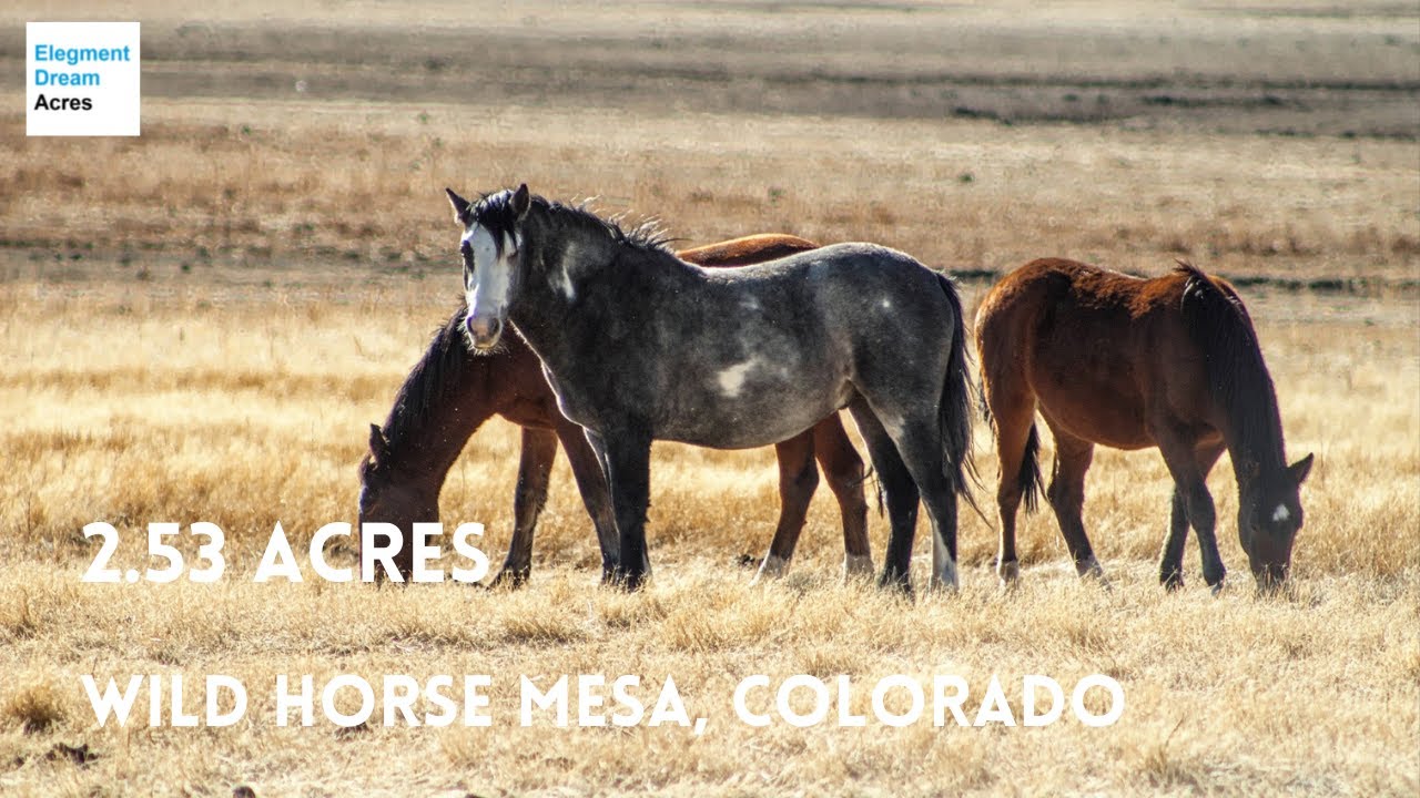 2.53 Acres Colorado Wild Horse Mesa Homesite Electric by Sanchez Reservoir - Elegment Land