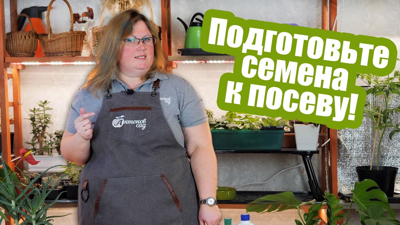 В чем замачивать семена? РАБОТАЮЩИЕ средства для подготовки семян!