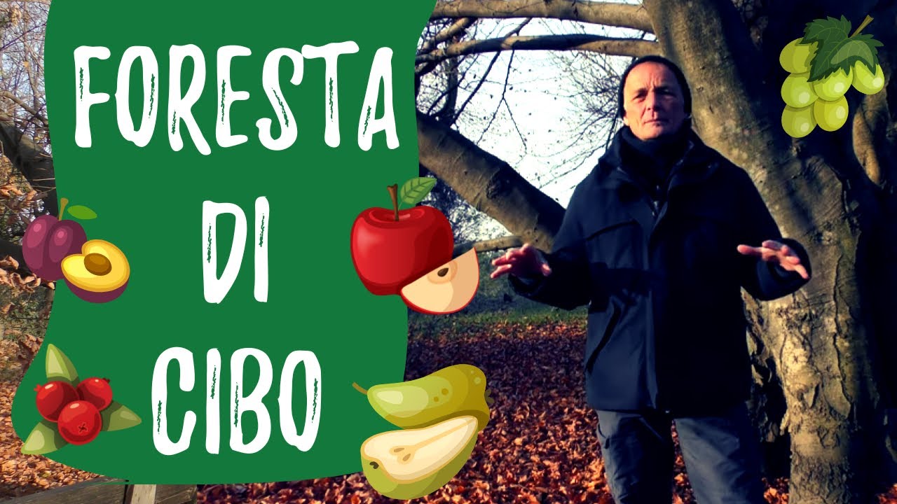 Food Forest: ecco cos'è una foresta commestibile