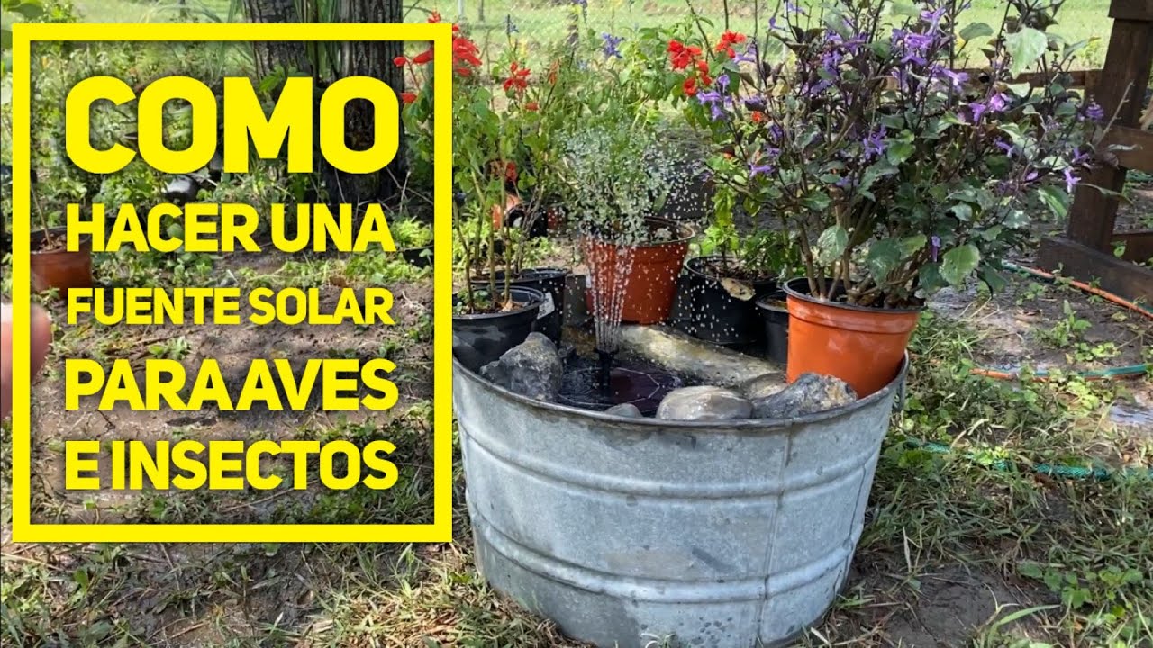 Como Ayudar a la naturaleza! Haciendo una hermosa fuente solar para aves, insectos!, Fàcil y rapido!