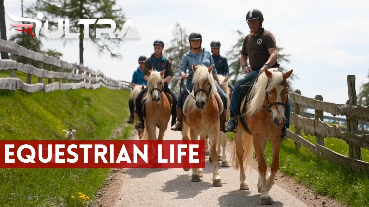 EQUESTRIAN LIFE: Il Cavallo Haflinger - Trekking equestre a Bolzano, tra le Dolomiti - ICARUS ULTRA