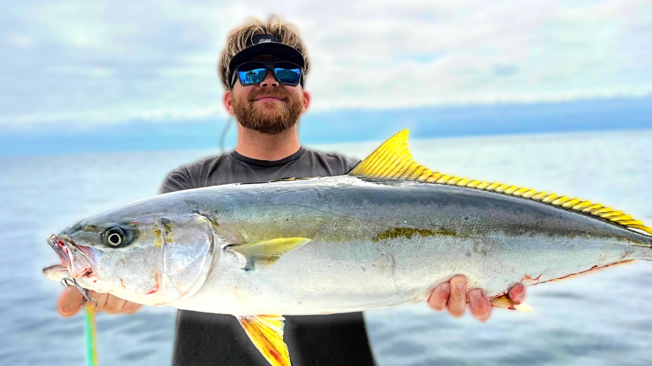 Chasing Yellowtail with SURFACE IRONS (San Clemente Island)