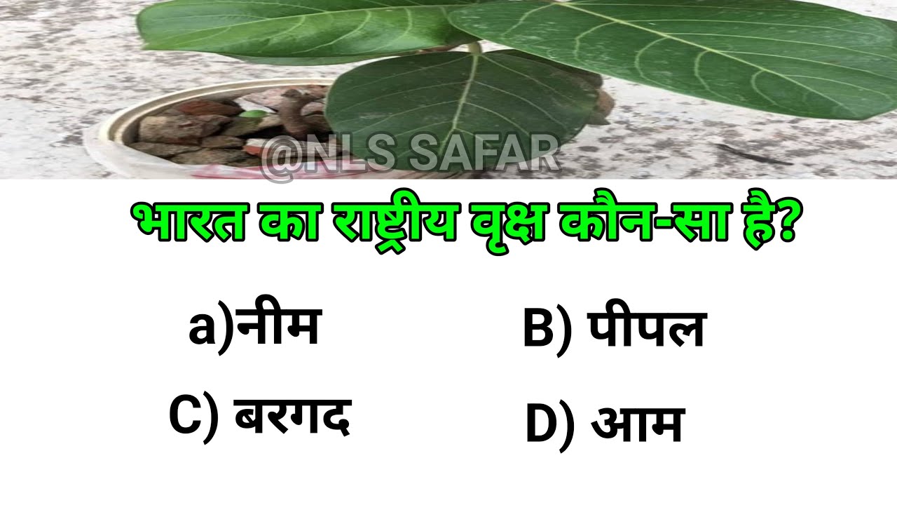 bharat ka national tree kon sa hai GK live