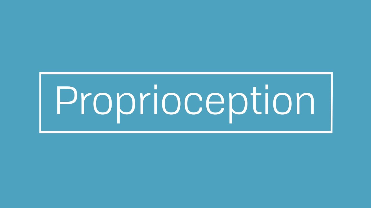 Proprioception