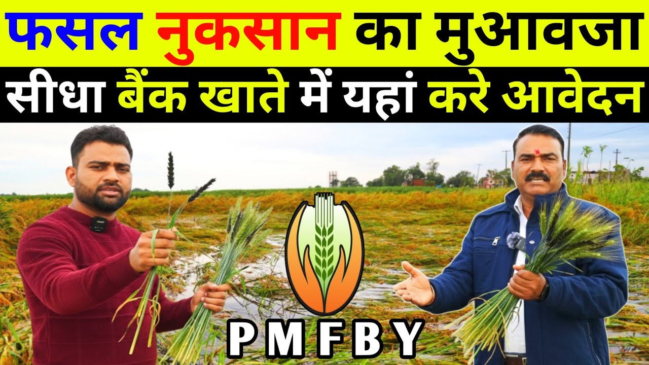 Pmfby scheme 2025 । प्रधानमंत्री फसल बीमा योजना 2025 । Crop insurance scheme