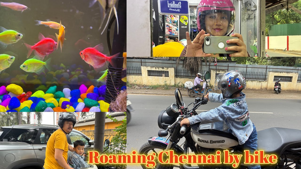 Roaming Chennai By Bike: We bought new fish tank for our fish 