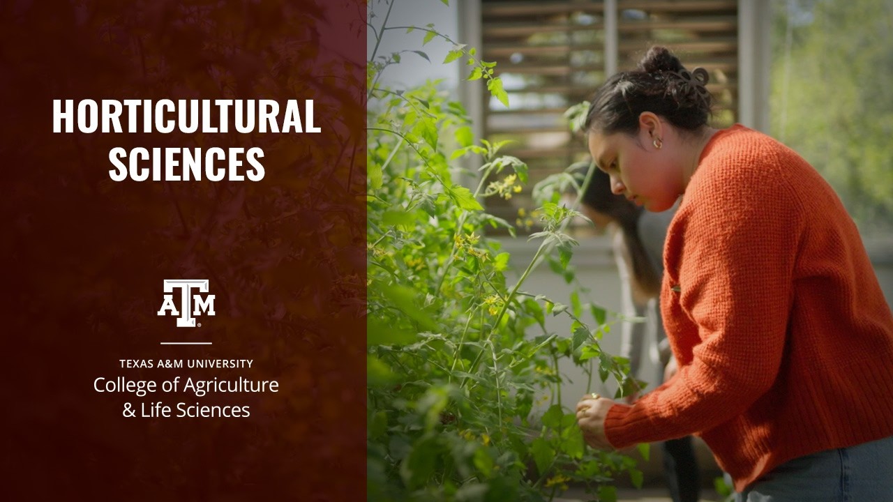 Study Horticultural Sciences at Texas A&M University