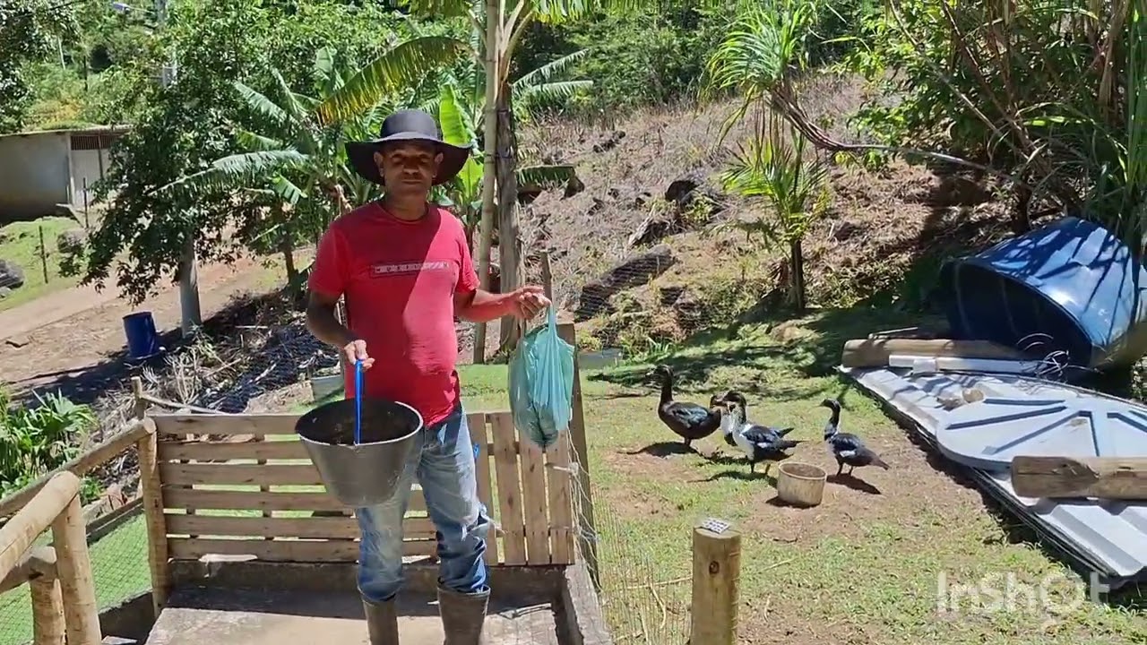 Dia de trabalho no rancho da serra. 