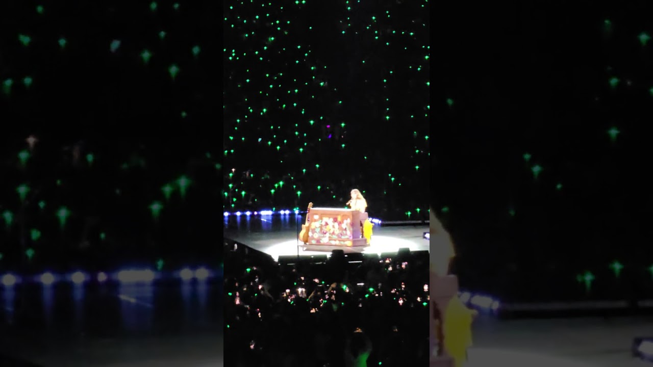 I Don't Wanna Live Forever x Dress (Mashup) - Taylor Swift (surpise song) #theerastour Singapore