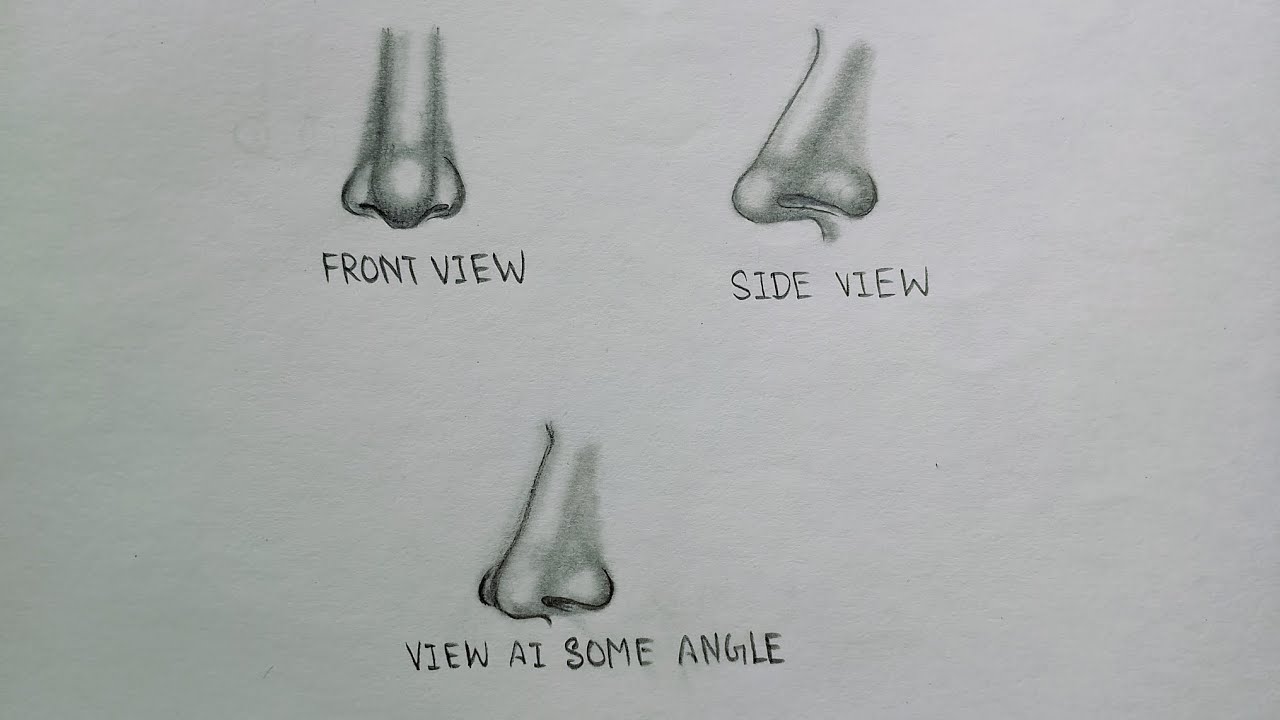 How To Draw Nose 👃In Easy Way|| Nose Ki Drawing Kase Banaye 🎨✨🖌️