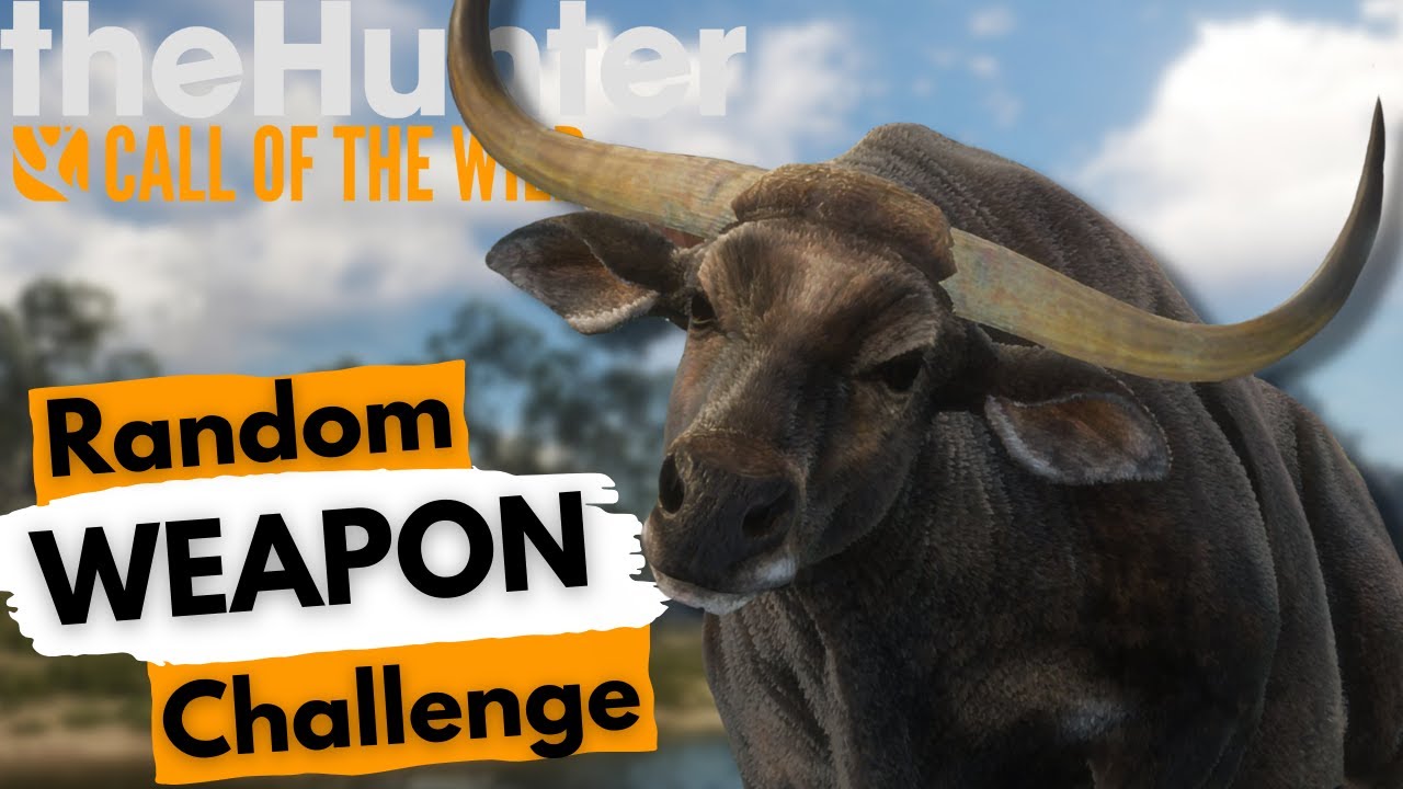 Mit ZUFÄLLIGEN Waffen auf Wildrinder! | the Hunter Call of the Wild Deutsch