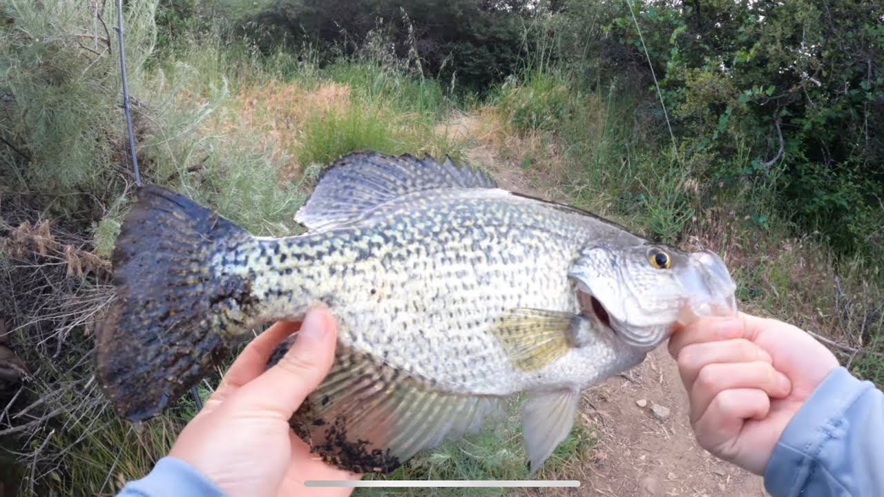 Cachuma Shore Fishing