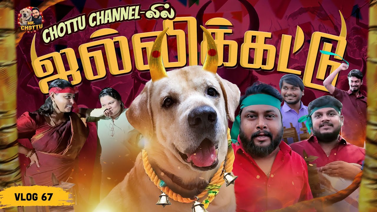 களத்தில் இறங்கிய Chottu 🔥🔥| For The First Time: Chottu Channel'லில் Jallikattu😍😍 | Vlog 67