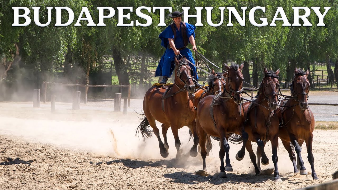 The Fastest Horses in Hungary: Meeting the World Champion Cowboys