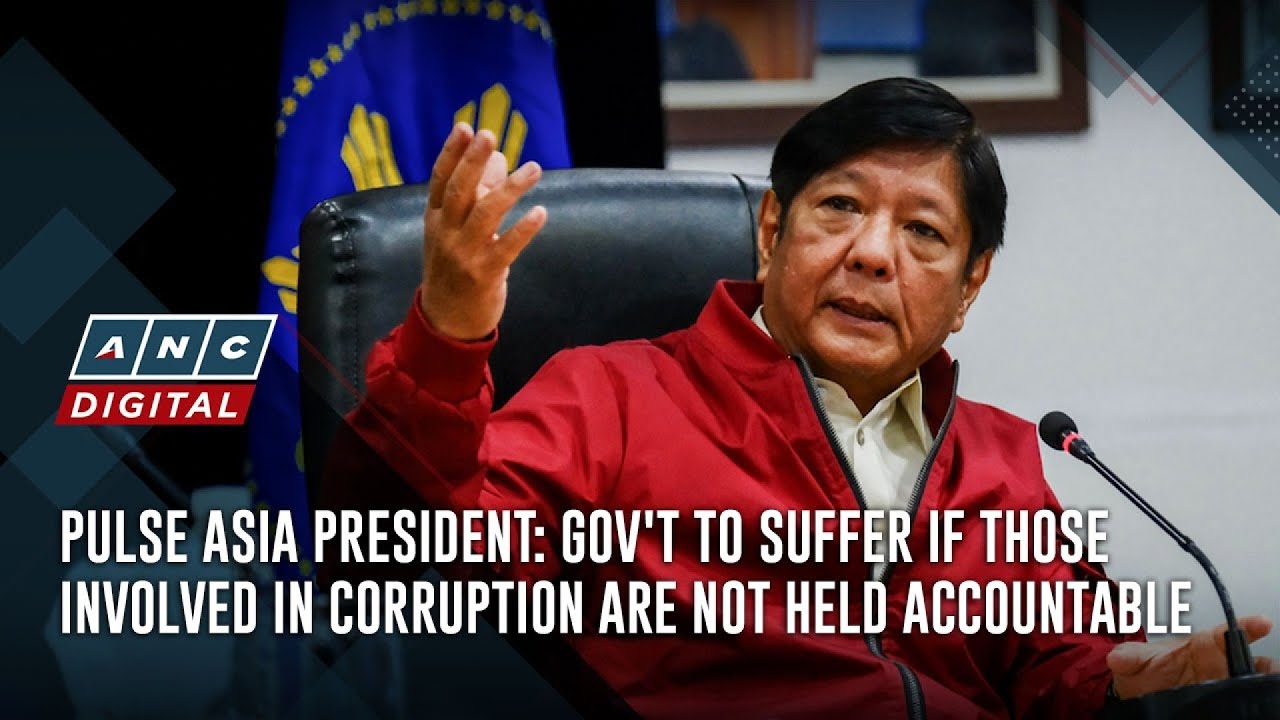 Pulse Asia president: Gov't to suffer if those involved in corruption are not held accountable