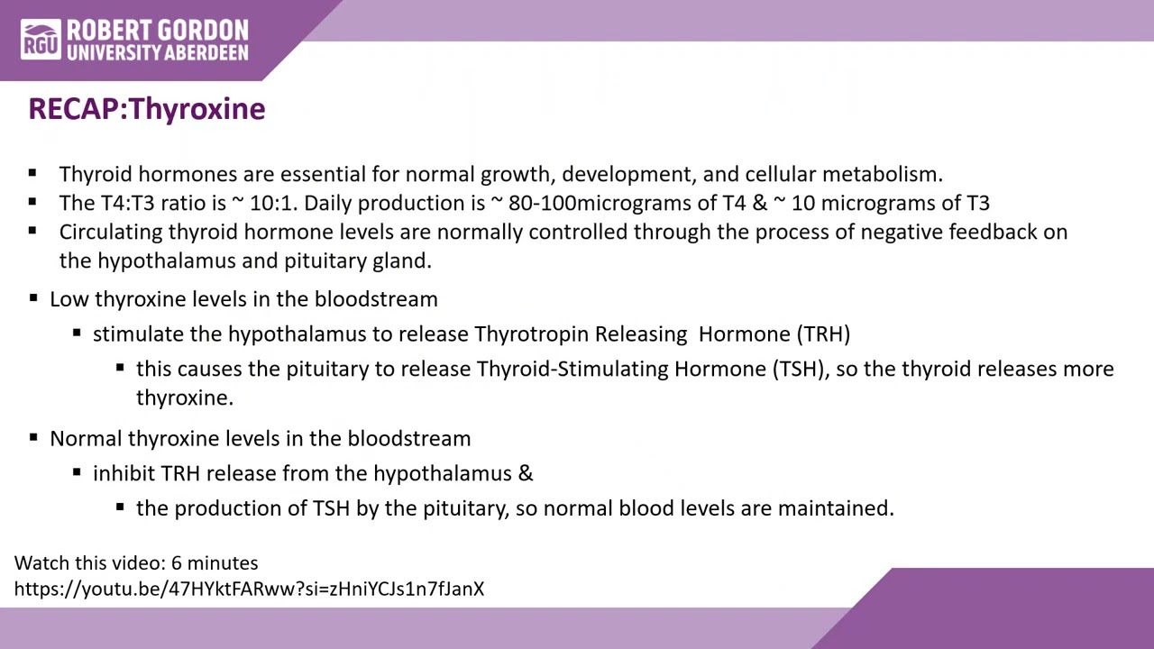 Endocrine3HypoThyroidSC