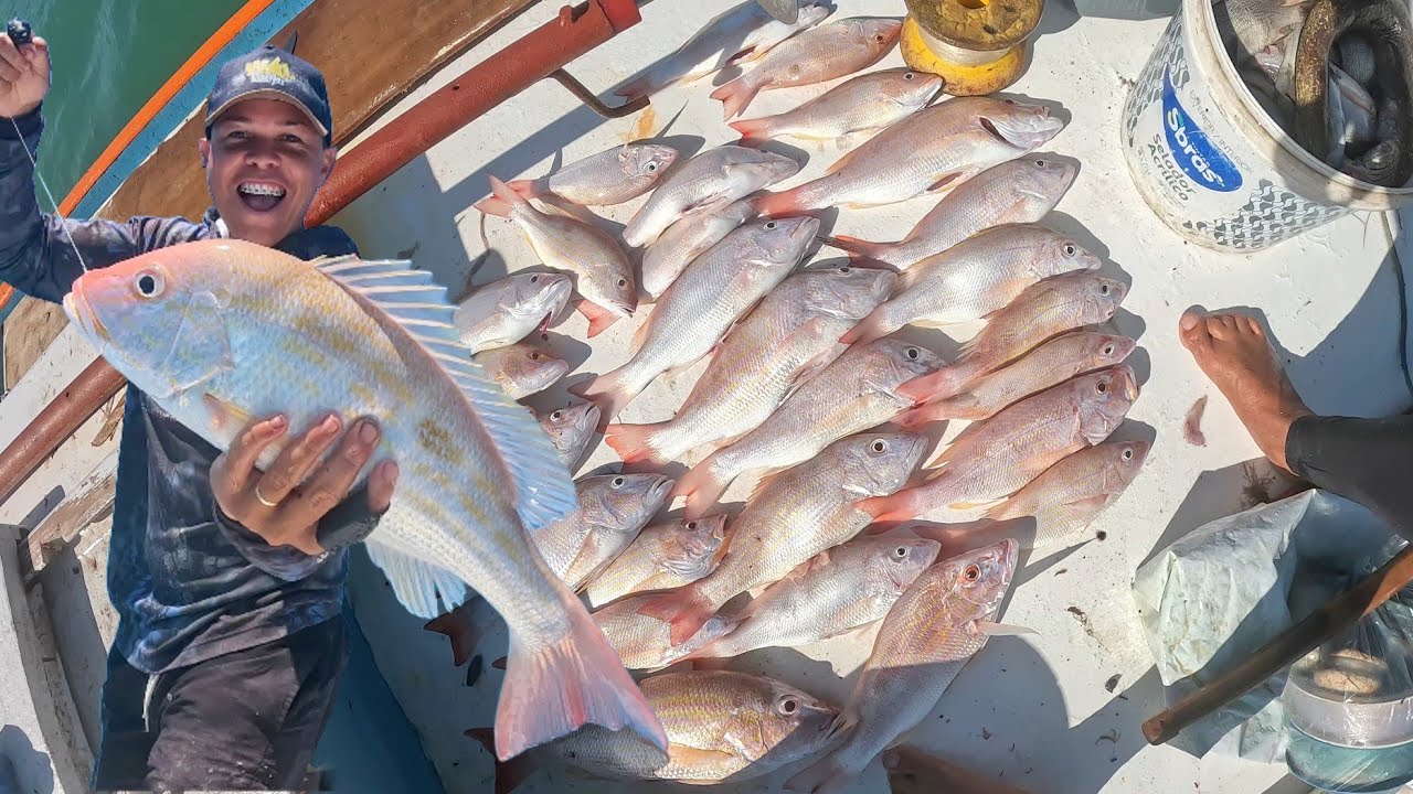 AINDA ESTOU SEM ACREDITAR NO QUE ACONTECEU - PESCANDO E COMENDO NO ALTO MAR !