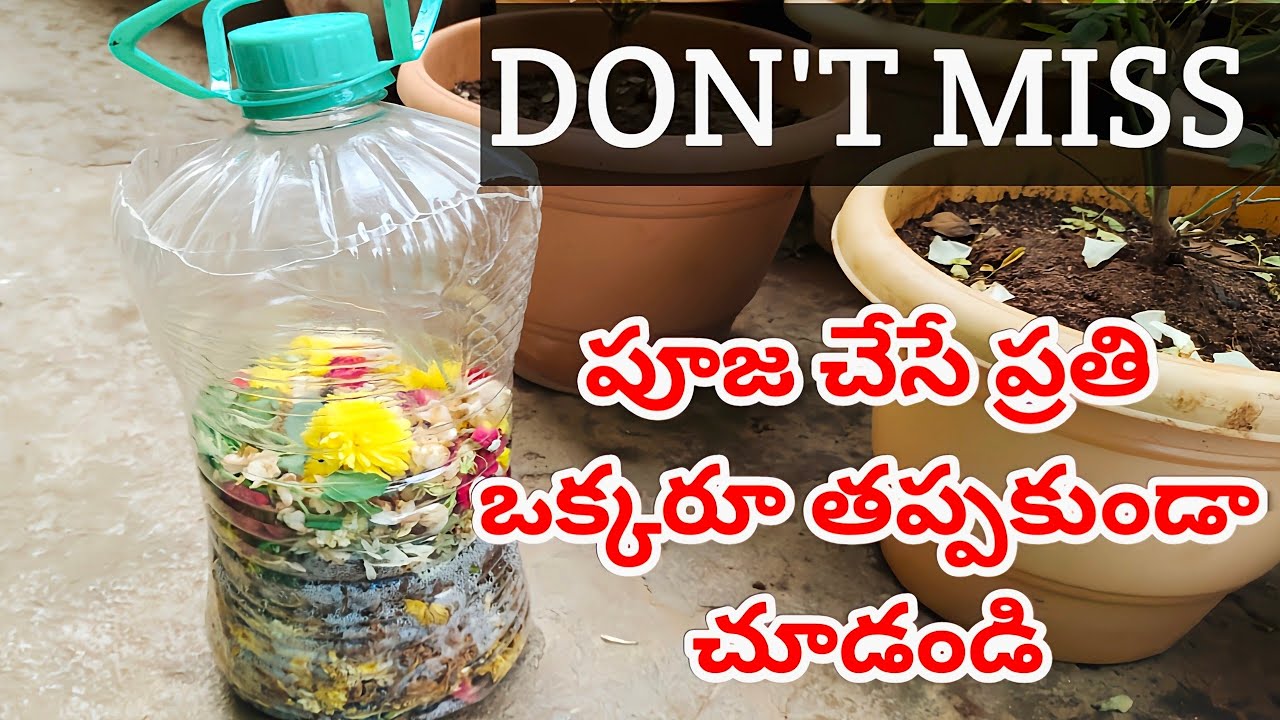 పూజకి వాడిన పూలతో ఎరువు|How to make compost from dry flowers|free fertilizer|compost  #how #plants