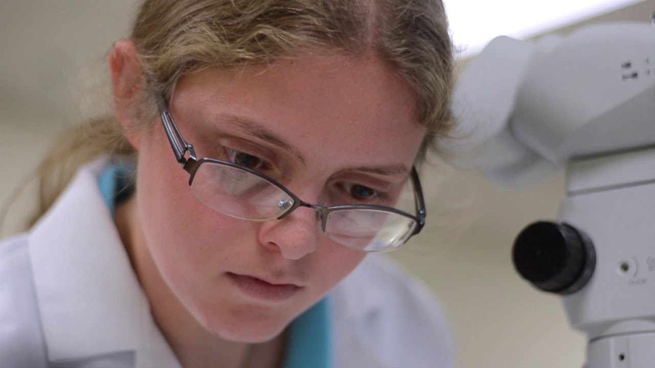 Student Researchers