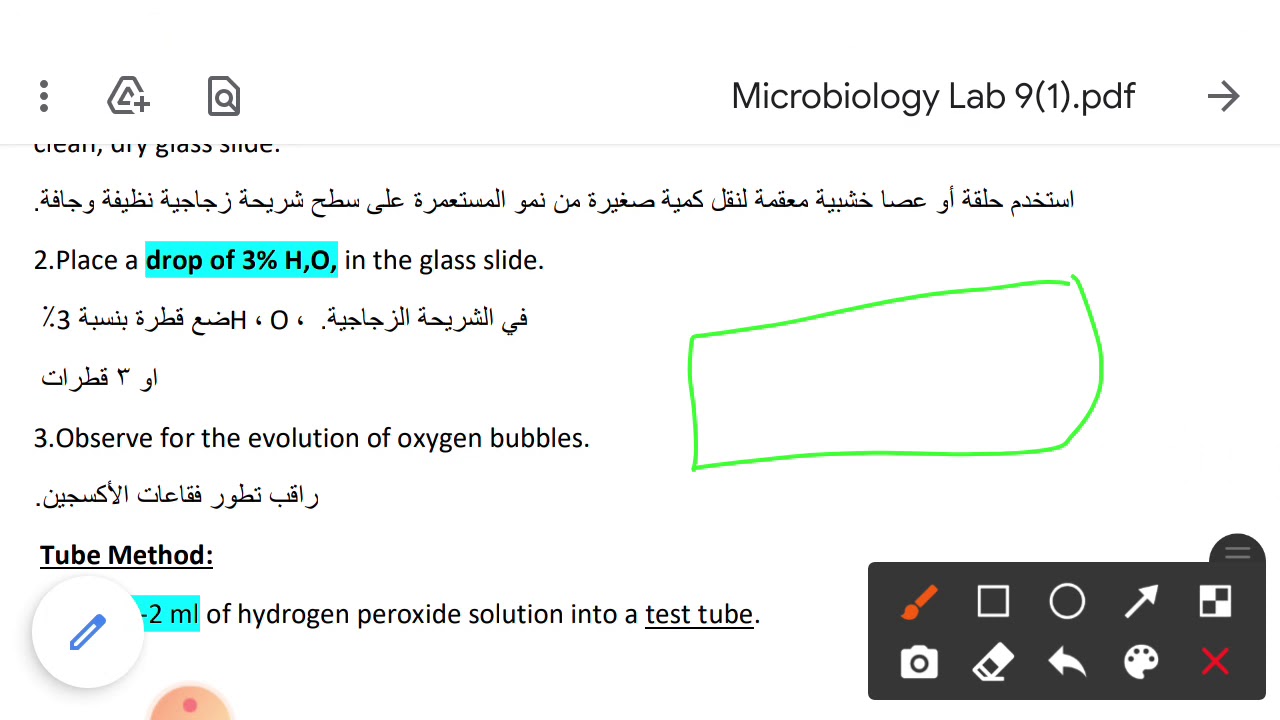 Coagulase, Catalase and Oxidase test