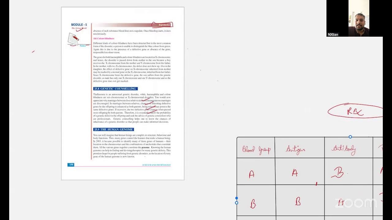 Zoom Classes Online