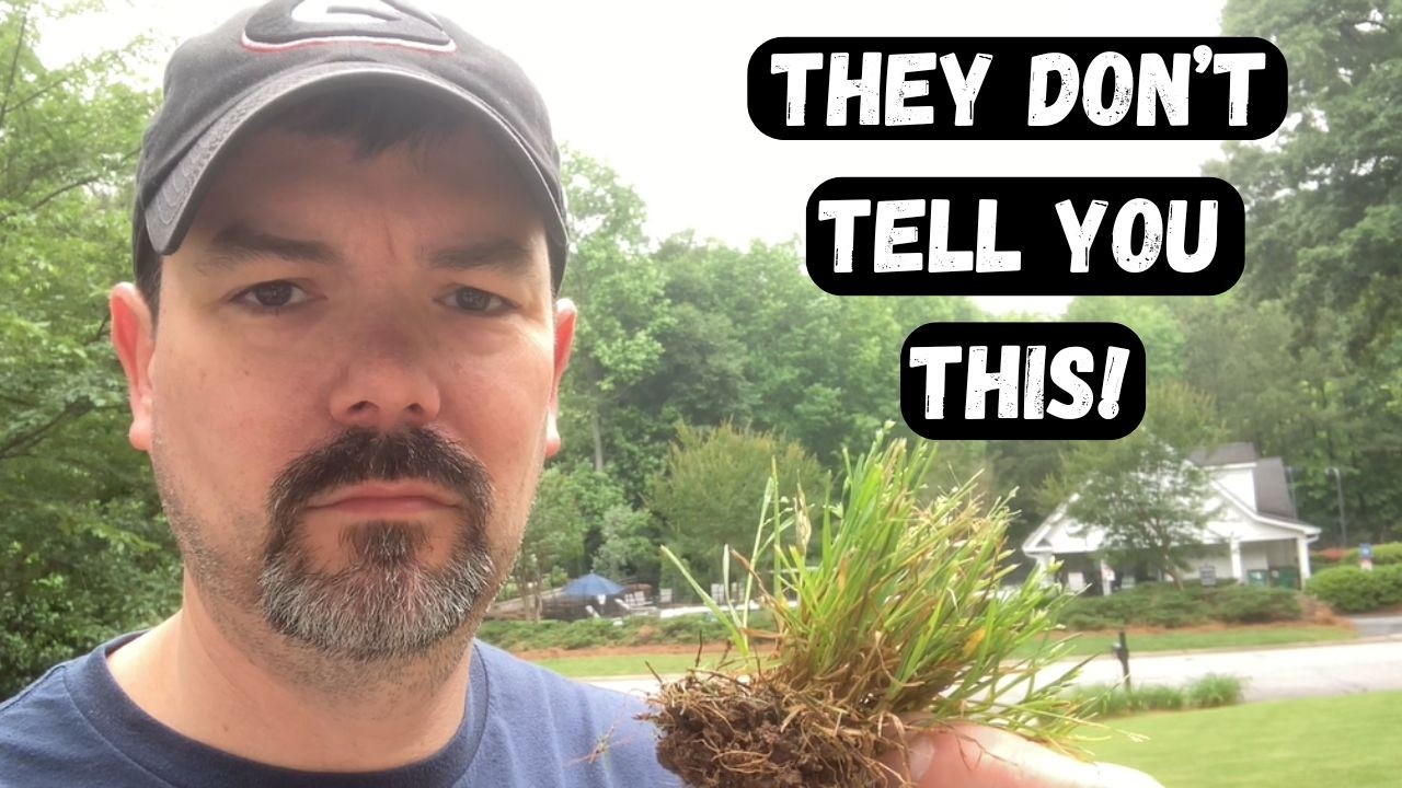 POA ANNUA THE UGLY TRUTH! 4 tactics to control this UGLY weed in your Bermuda Lawn.