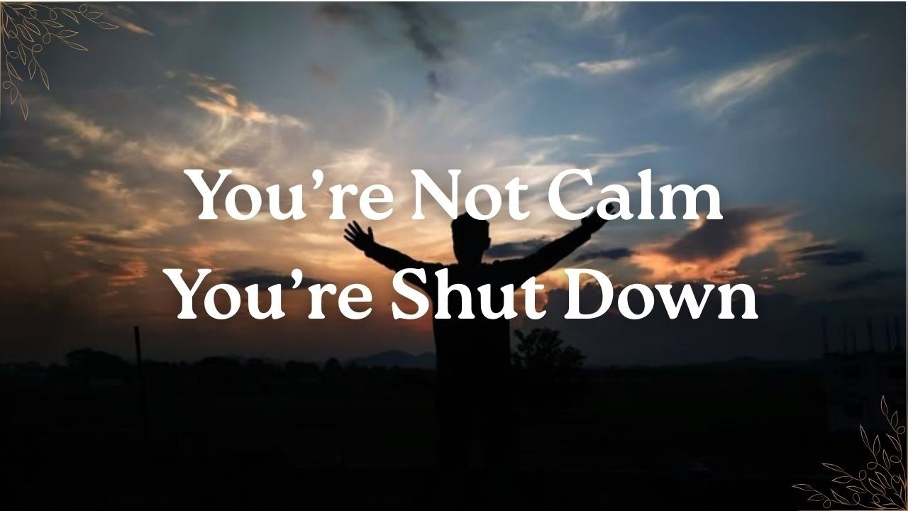 Emotional Maturity vs Emotional Suppression — Why Being “Strong” Can Disconnect You From Yourself...