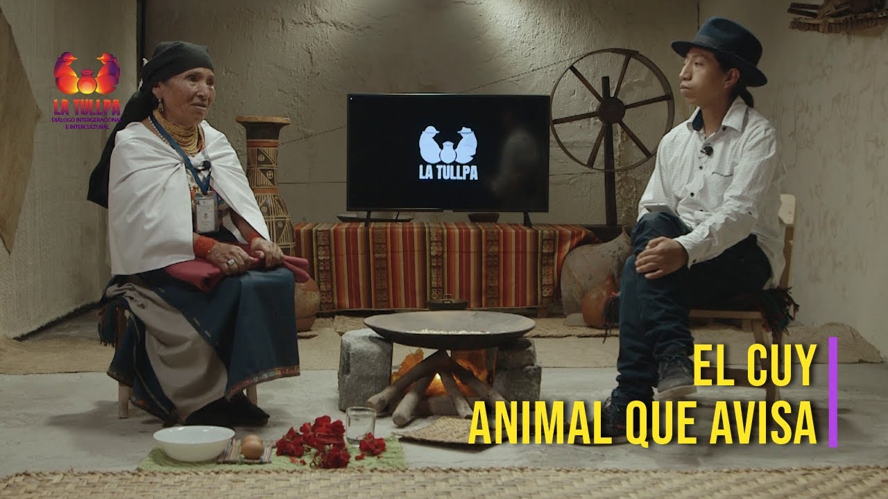 Diagnosticar con cuy, orina y huevo | REPORTAJE BMS