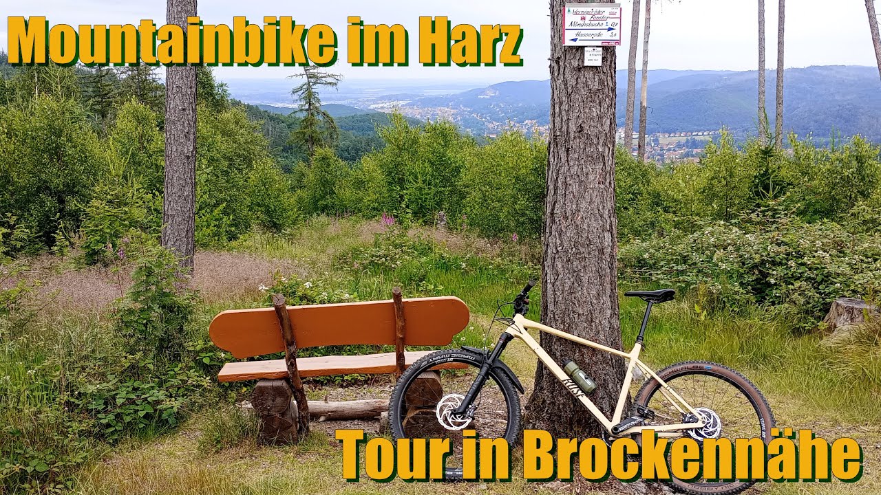 Mountainbiken im Harz - Von Wernigerode in Brockennähe - Tour und Singletrails - Rose Bonereo