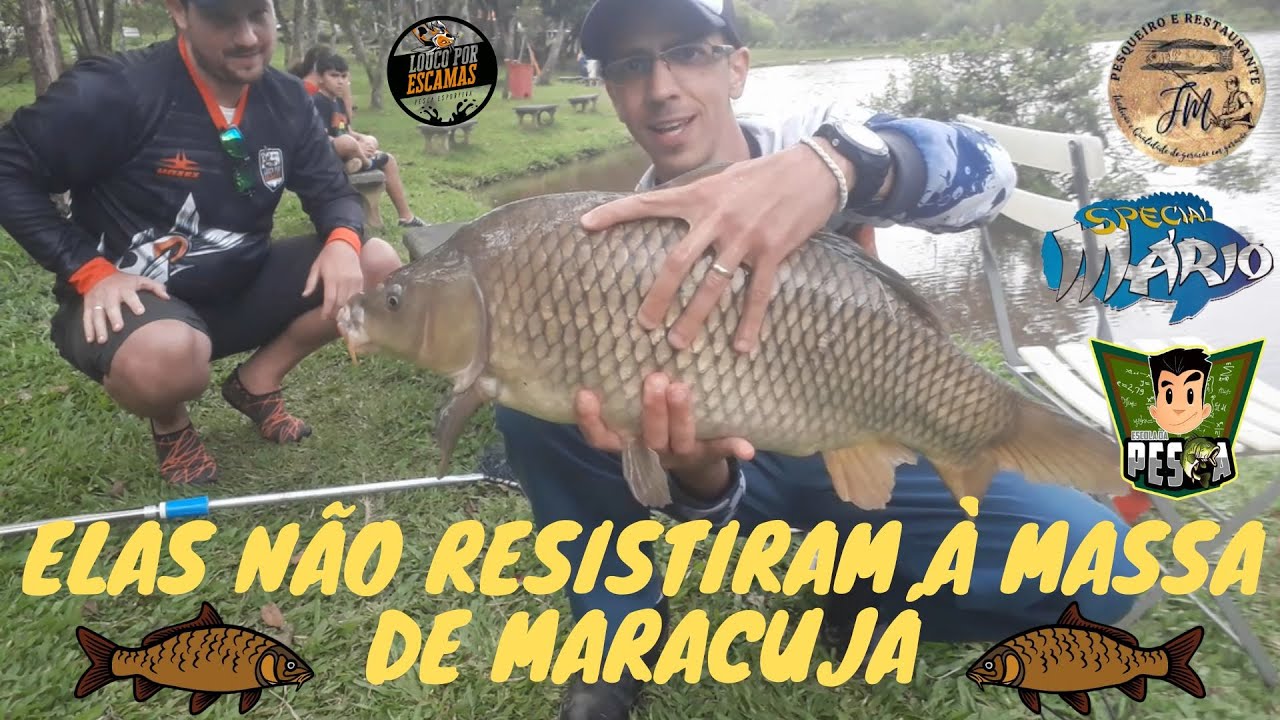 #164 - PESCARIA DE CARPAS COM O LOUCO POR ESCAMAS