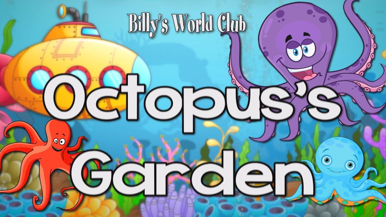 Octopus's Garden with Billys World Club