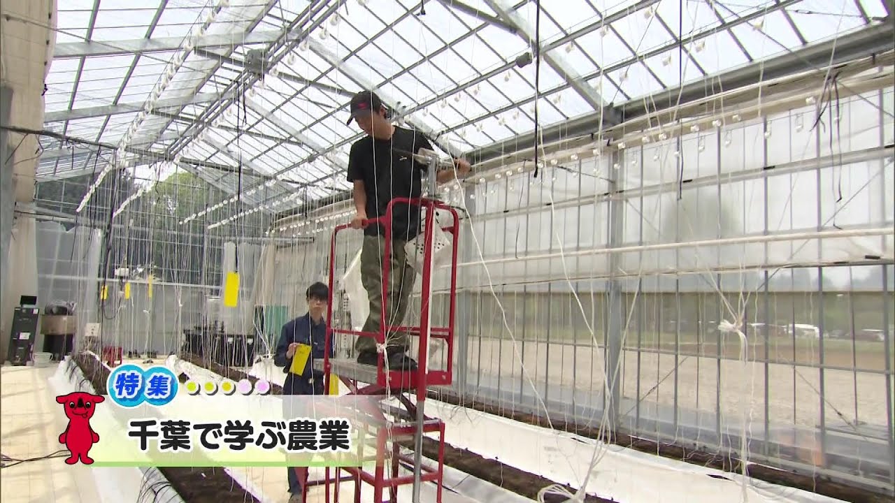 ウィークリー千葉県「千葉で学ぶ農業」R7/5/31
