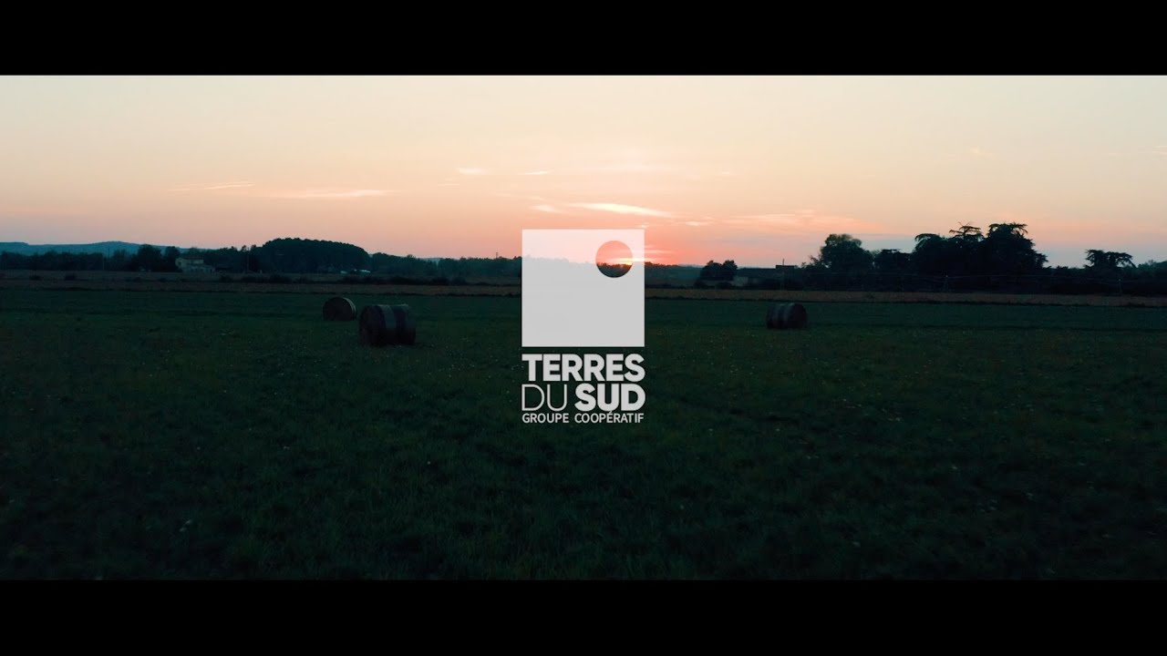 Terres du Sud, film 