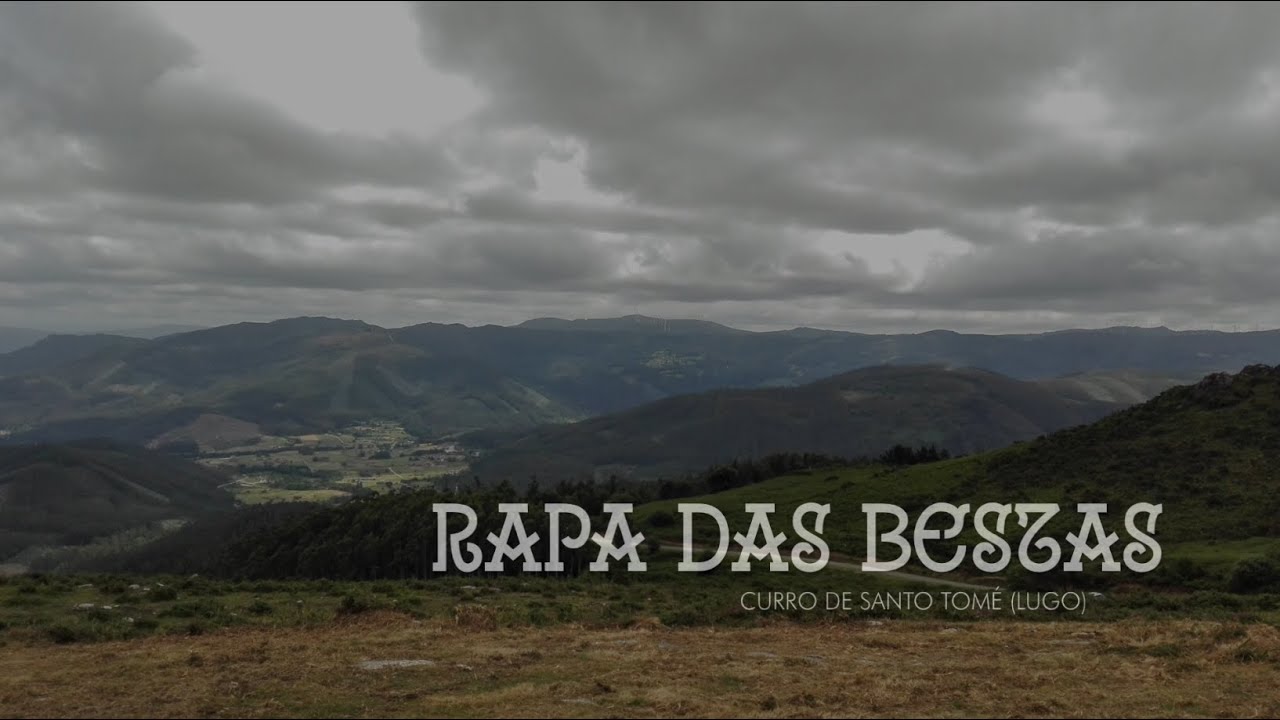 Rapa das Bestas (Curro de Santo Tomé)