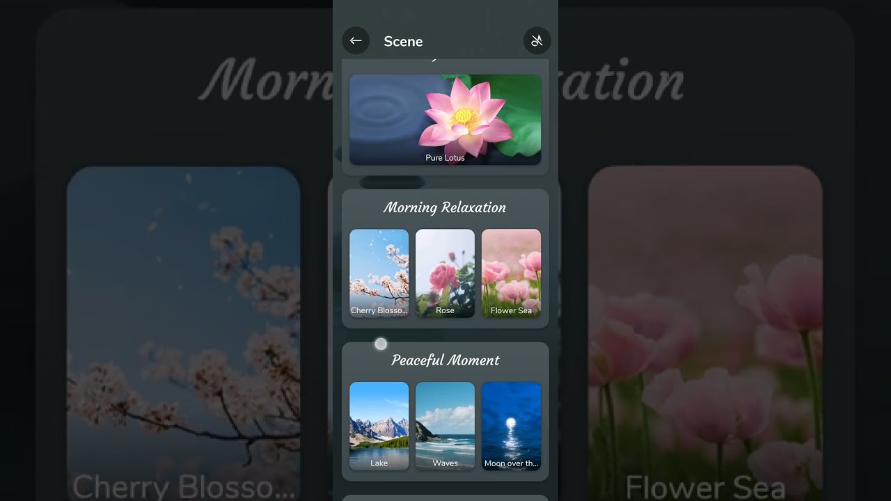 ZEN COLOR:  MY FAVORITE COLORING APP