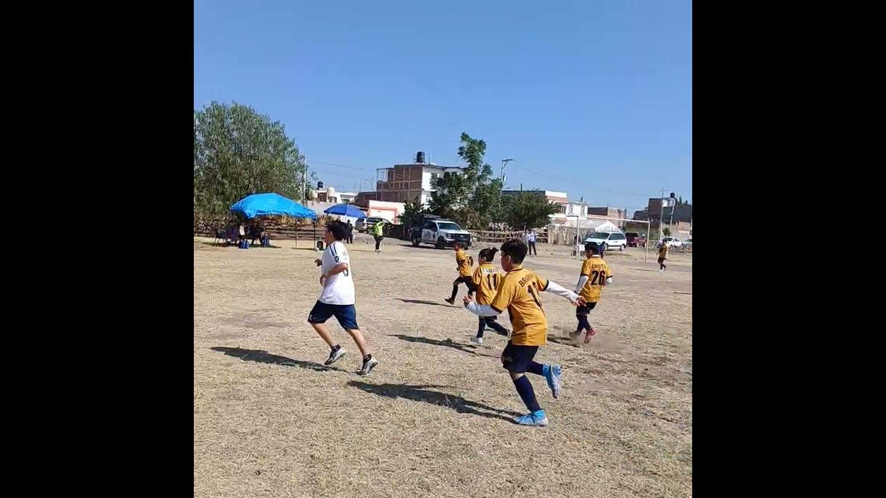 Liga infantil Irapuato