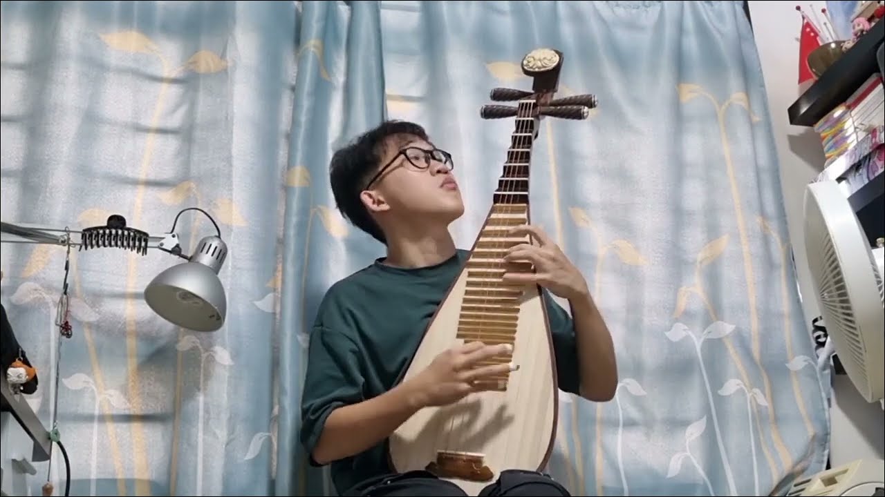 【琵琶】新翻羽调绿腰  New Variation of Tang Luyao Dance (Pipa)