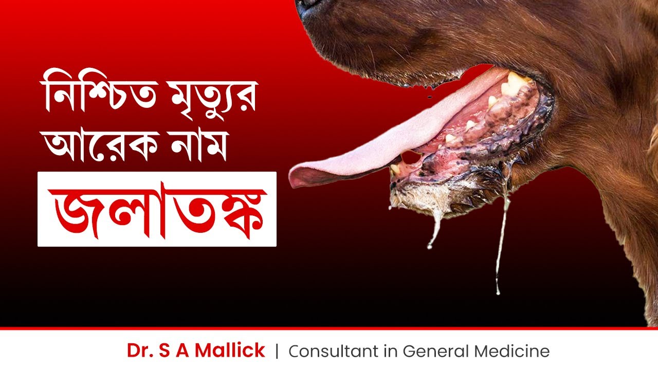 র‍্যাবিস বা জলাতঙ্ক রোগের লক্ষণ, চিকিৎসা, ভ্যাক্সিন | Rabies: Symptoms, Treatment & Vaccination