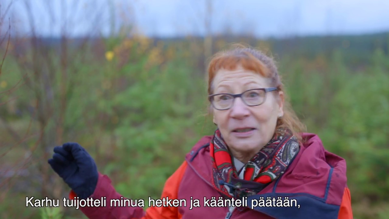 Unohtumaton kohtaaminen karhun kanssa