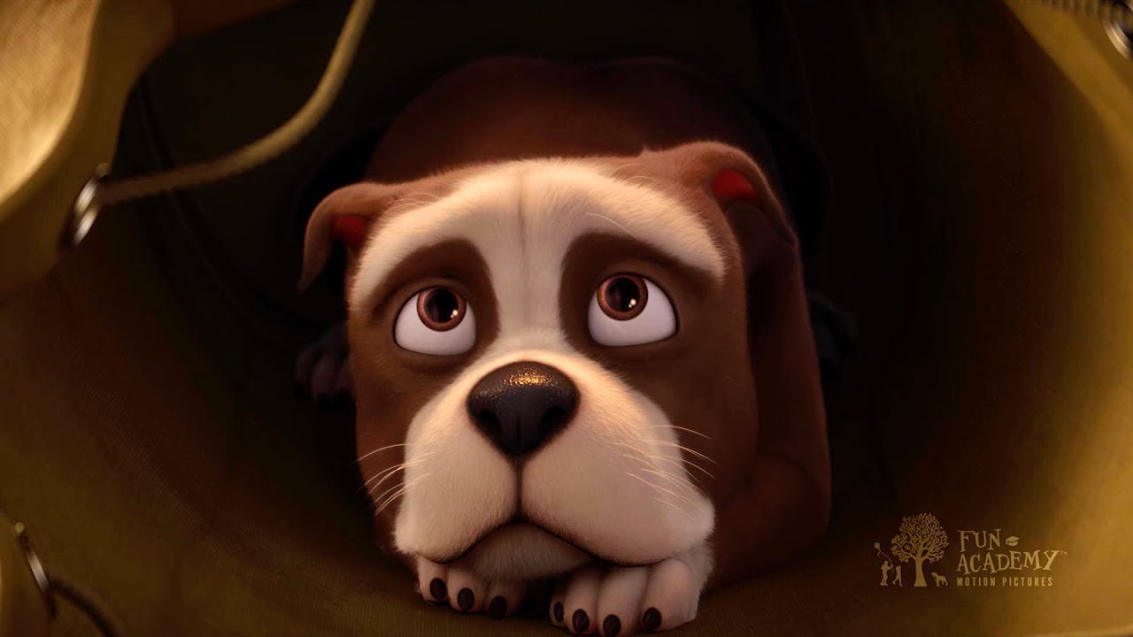 A Salute to Service | SGT. STUBBY: AN AMERICAN HERO