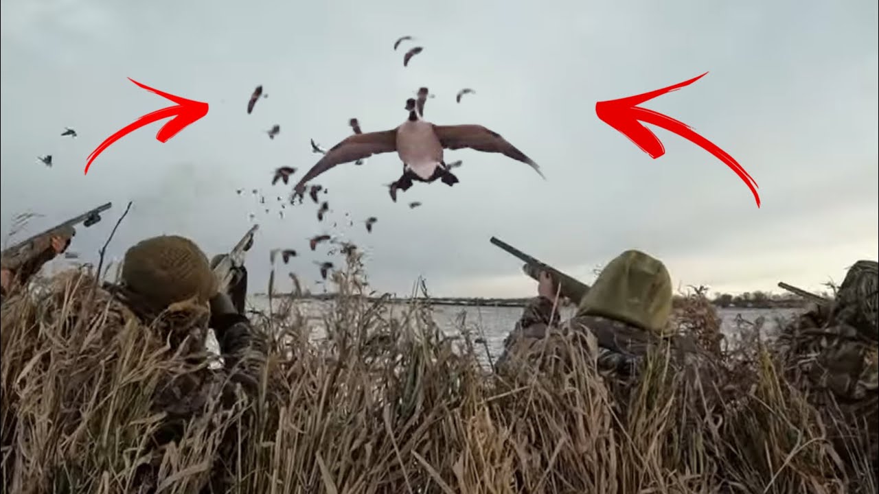 INSANE GOOSE Hunting in a CORN Field with SNOW! LIMITS with SURPRISE Goose Bands!